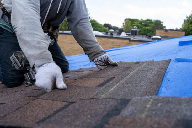 Best Storm Damage Roof Repair  in Girard, OH